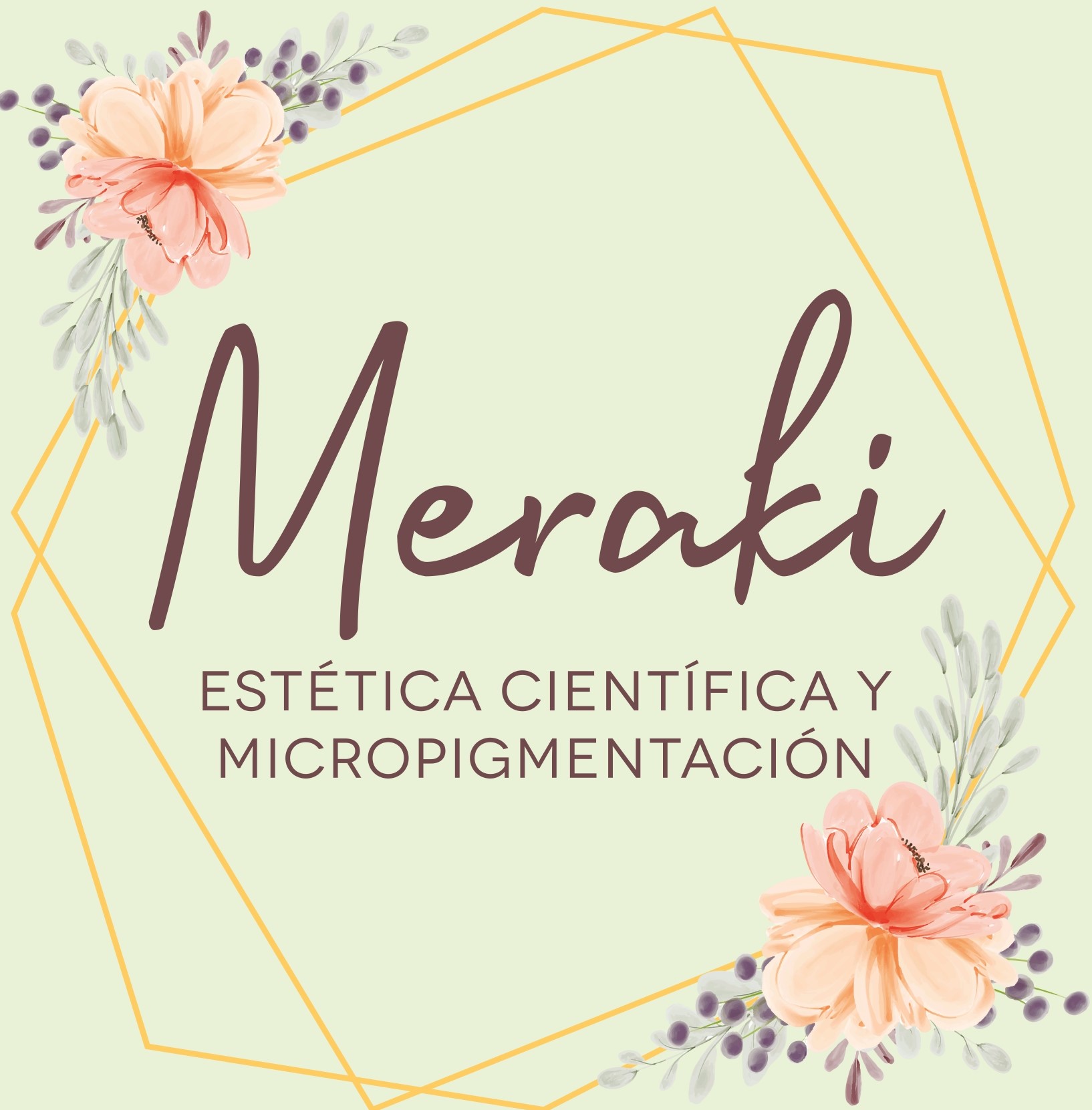 Meraki-logo